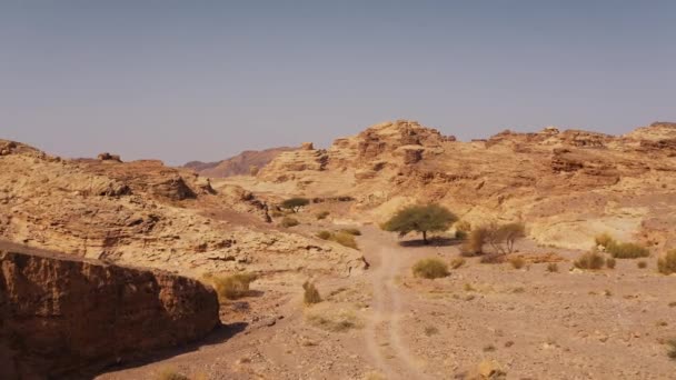 Antena Piękny Widok Wadi Araba Jordania — Wideo stockowe