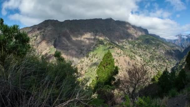Gorge Las Angustias Palma Canarias — Vídeos de Stock