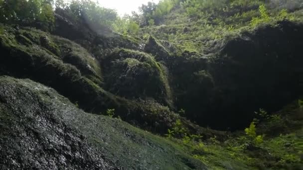 Wunderschöner Los Tilos Wasserfall Lapalma Kanaren — Stockvideo