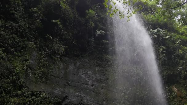 Piękny Wodospad Los Tilos Lapalma Wyspy Kanaryjskie — Wideo stockowe