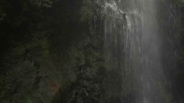 Piękny Wodospad Los Tilos Lapalma Wyspy Kanaryjskie — Wideo stockowe