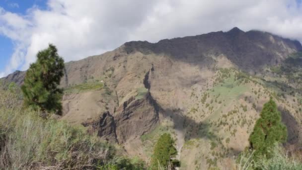 Gorge Las Angustias Palma Canarias — Vídeo de stock