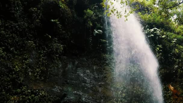 Όμορφη Los Tilos Waterfall Lapalma Κανάριοι Νήσοι — Αρχείο Βίντεο
