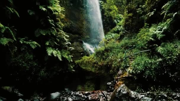 Όμορφη Los Tilos Waterfall Lapalma Κανάριοι Νήσοι — Αρχείο Βίντεο
