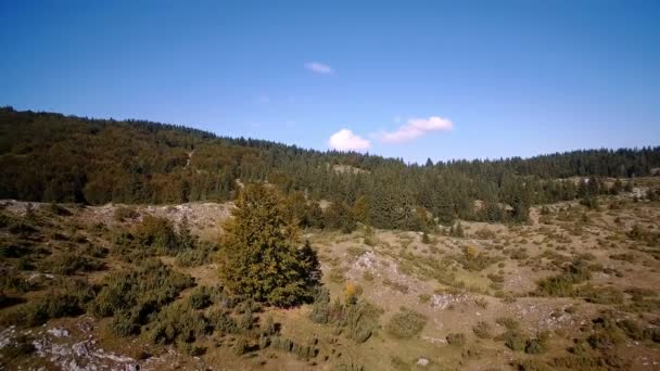 Letecká Gornji Unac Farmlands Černá Hora — Stock video