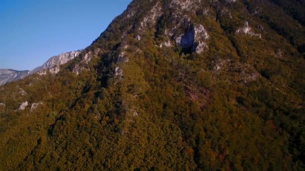 Antenne Gebirgswald Herbst Montenegro — Stockvideo