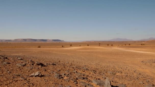 Pisos Pedregosos Desierto Del Sahara Marruecos — Vídeos de Stock