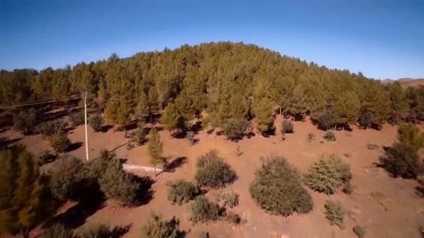 Aerial View Landscape Suk Had Morocco — Αρχείο Βίντεο