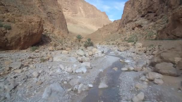 Aerial View Beautiful Gorges Todra Todra Gorge Morocco — Stok video