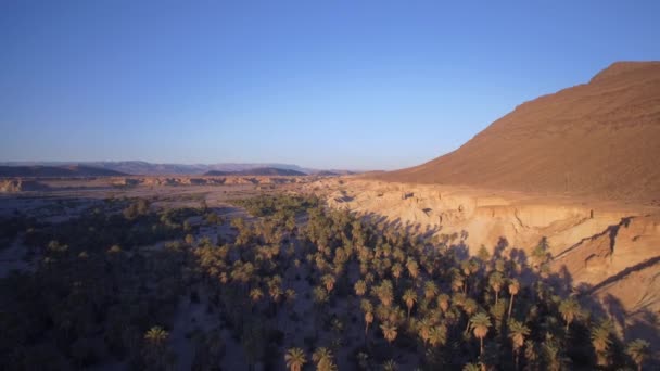 Aerial View Drone Flying Palm Oasis Mountains Tissint Morocco — Vídeo de Stock