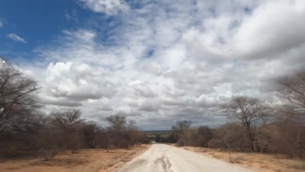 Driving Namibian Roads Front View — Video