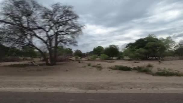 Driving Namibian Roads Front View — ストック動画