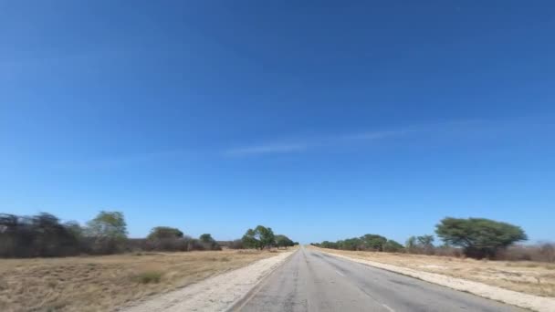 Driving Namibian Roads Front View — Vídeo de stock