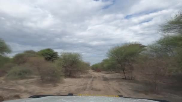 Cesta Přes Namibii Savanna — Stock video