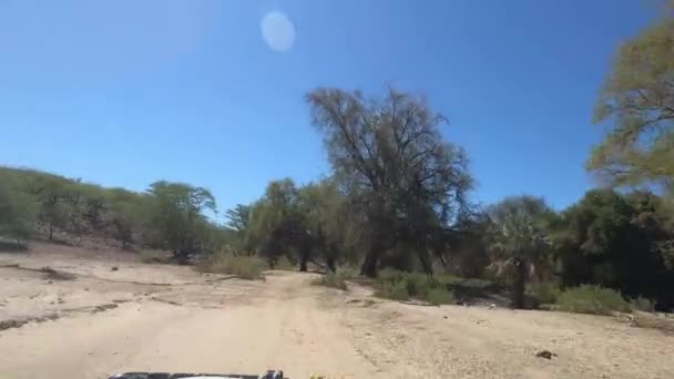 Rear View Drive Namibia Savanna — Stock Video