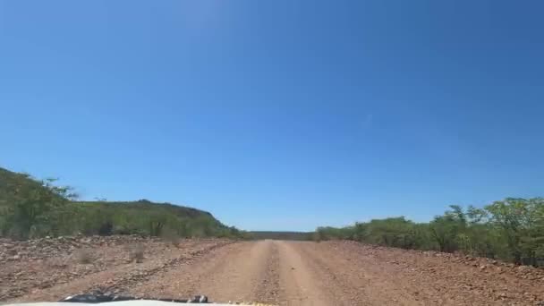 Rear View Drive Namibia Savanna — Vídeo de Stock