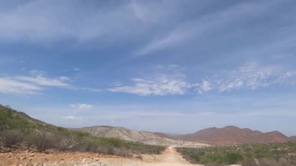 Rear View Drive Namibia Savanna — Αρχείο Βίντεο