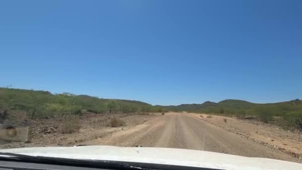 Rear View Drive Namibia Savanna — Stockvideo