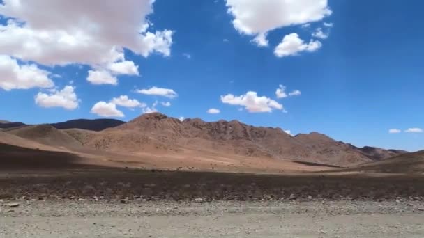 Drive Namibian Deserts — Stok video