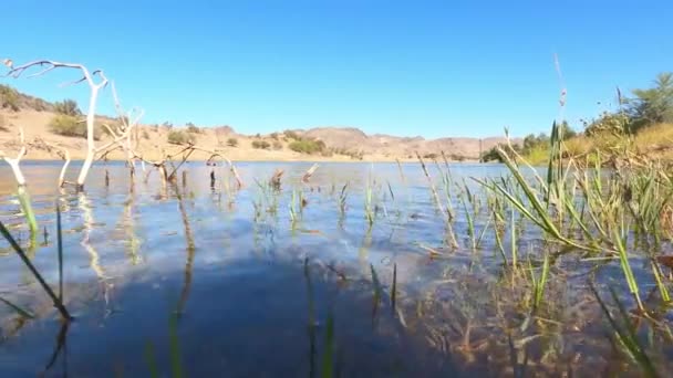 Orange River Süden Namibias — Stockvideo