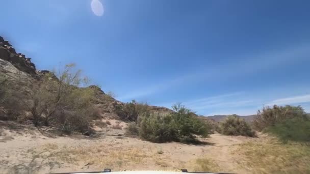 Driving Car Namibian Road Daytime — Stok video
