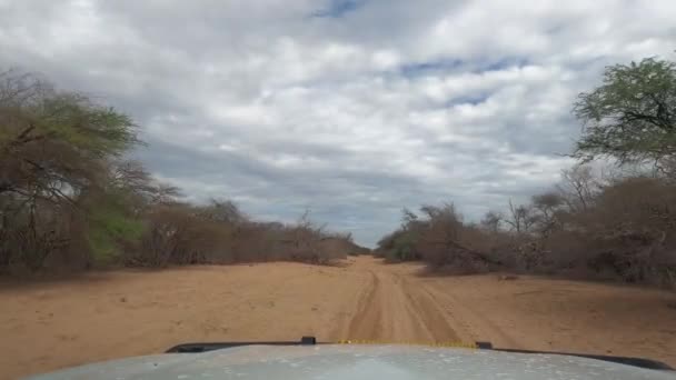 Driving Car Namibian Road Daytime — Vídeo de Stock