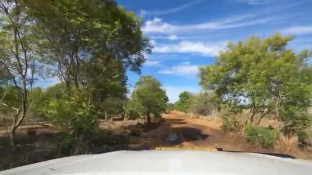 Driving Car Namibian Road Daytime — Vídeo de Stock