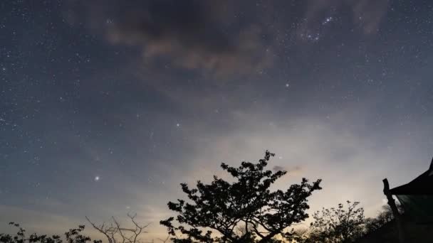 Namibya Güzel Bir Gece Gökyüzü Zaman Süreleri — Stok video
