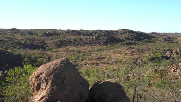 Omgeving Het Etosha National Park Galton Gate Namibië — Stockvideo