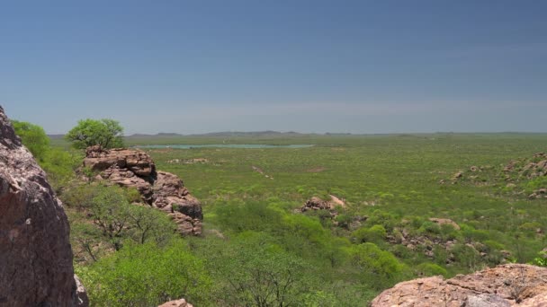 Umgebung Des Etosha Nationalparks Galton Gate Namibia — Stockvideo