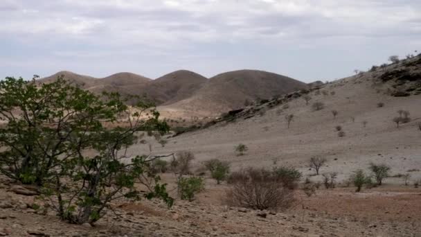 Bergslandskap Namibia Pan — Stockvideo