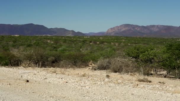 Blick Auf Die Namibische Wüste Schöne Landschaft — Stockvideo