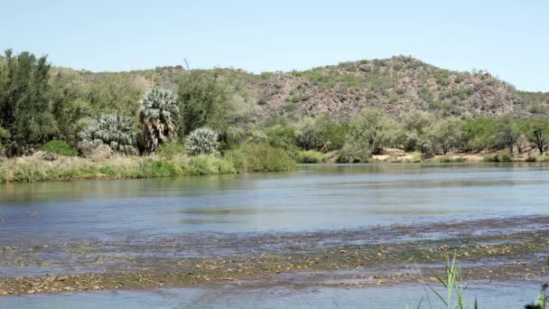 Beautiful View Cunene River Namibia — Αρχείο Βίντεο
