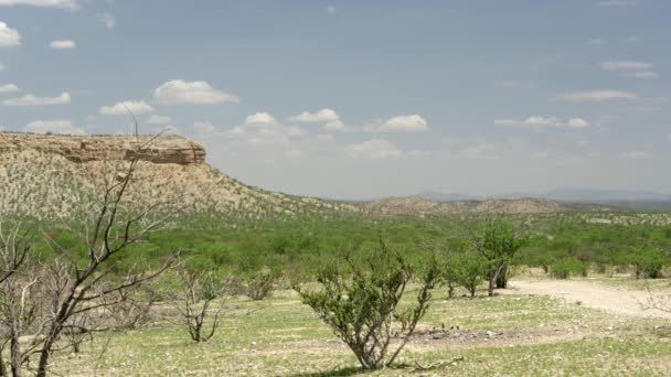 Área Vingerclip Namíbia — Vídeo de Stock