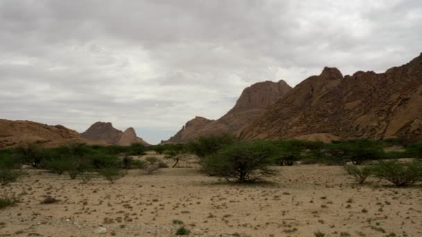 Desert Namibia Typical African Landscape — Video