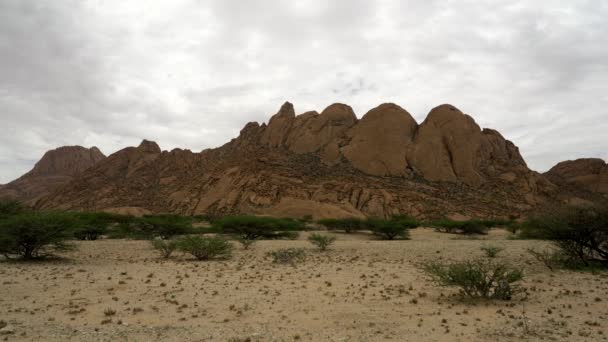 Desert Namibia Typical African Landscape — Stockvideo