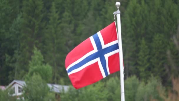 Norwegische Flagge Abgestufte Und Stabilisierte Version Achten Sie Auch Auf — Stockvideo