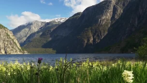 Scenic Landsapce Norvégiában — Stock videók