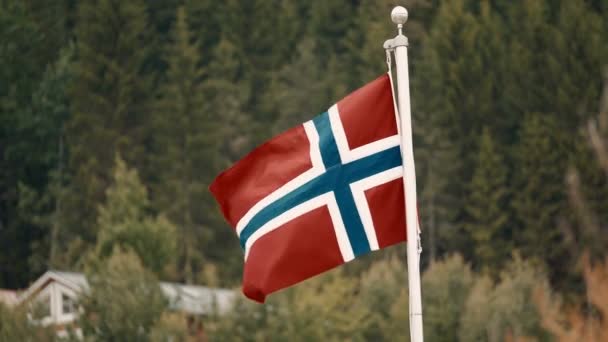 Bandiera Norvegese Versione Graduata Stabilizzata Guarda Anche Materiale Nativo Direttamente — Video Stock