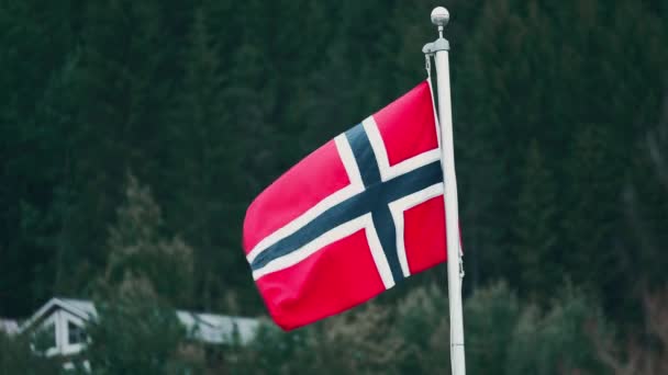Bandiera Norvegese Primo Piano Versione Graduata Stabilizzata Guarda Anche Materiale — Video Stock