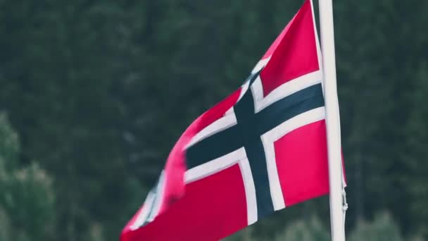 Norwegische Flagge Closeup Abgestufte Und Stabilisierte Version Achten Sie Auch — Stockvideo