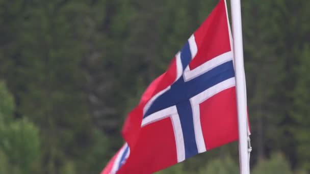 Norwegische Flagge Closeup Abgestufte Und Stabilisierte Version Achten Sie Auch Stockvideo