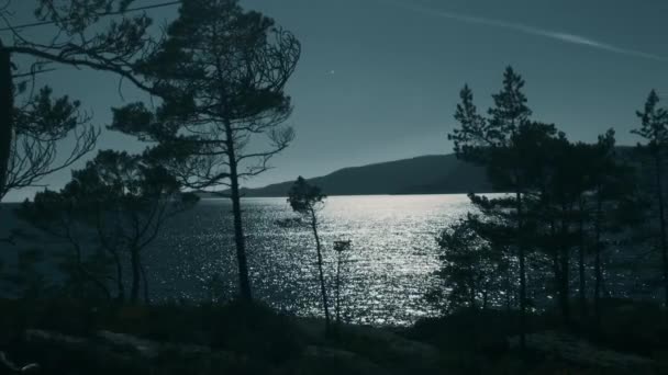 Küste Fjord Bei Losnegard Norwegen Unberührtes Und Stabilisiertes Material — Stockvideo