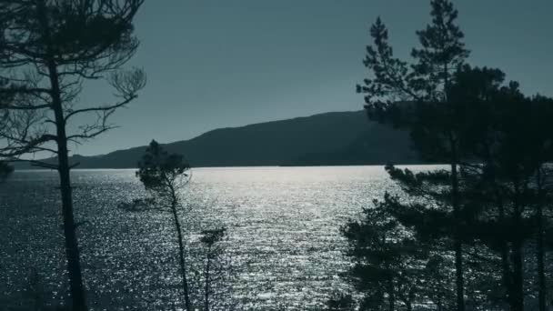 Coastline Fjord Losnegard Norway Untouched Stabilized Material — Stock Video