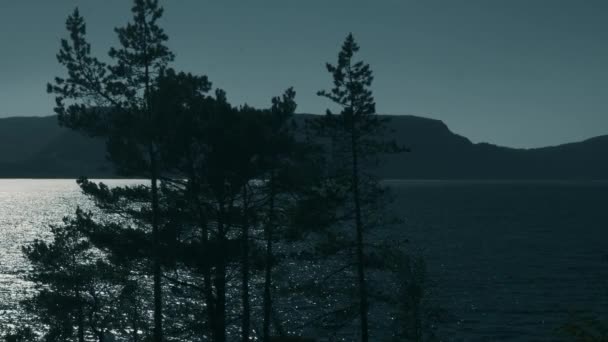 Pobřeží Fjord Losnegard Norsko Nedotčený Stabilizovaný Materiál — Stock video
