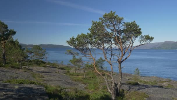 Kustlinje Fjord Vid Losnegard Norge Orört Och Stabiliserat Material — Stockvideo