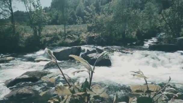 Cascada Tvindefossen Noruega Versión Graduada Estabilizada Vea También Material Nativo — Vídeos de Stock