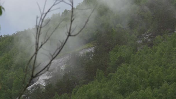 Nuvens Densas Floresta Verde Norueguesa — Vídeo de Stock