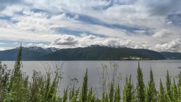 Beautiful Pan Sognefjord Norway — Stockvideo