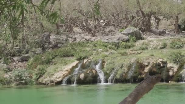 Darbat Wasserfälle Oman Natur — Stockvideo